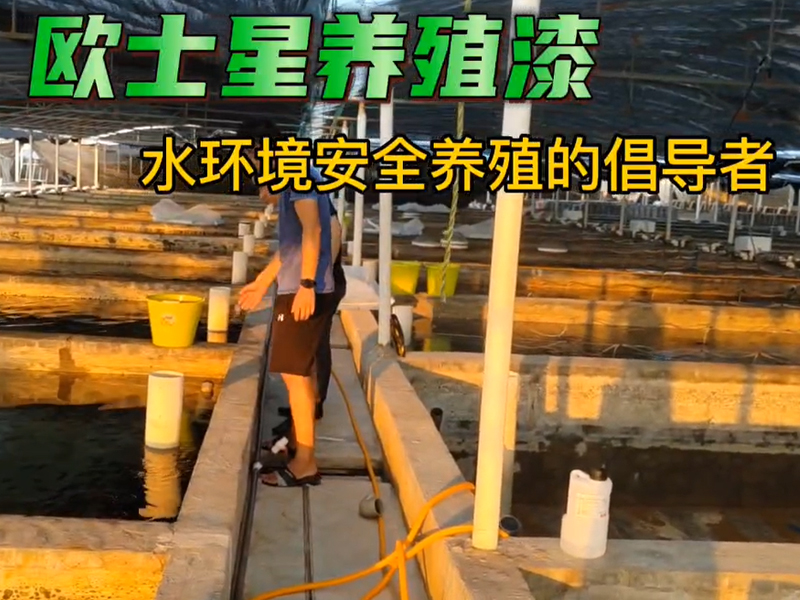 走訪石斑魚苗場(chǎng)，查看池子情況，今年石斑魚價(jià)格好，刷一刷歐士星養(yǎng)殖漆，養(yǎng)殖更順利，賺大錢！