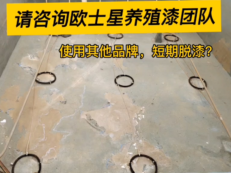 曾經(jīng)刷養(yǎng)殖漆或者即將要刷養(yǎng)殖漆的朋友們，如果遇到刷完養(yǎng)殖漆短時(shí)間脫漆請(qǐng)咨詢歐士星養(yǎng)殖漆團(tuán)隊(duì)，可免費(fèi)解答您的困惑！