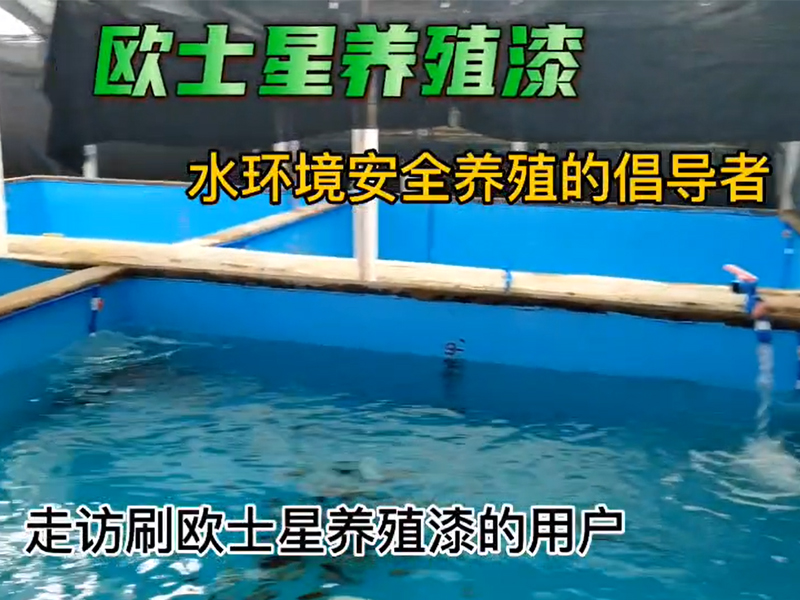 走訪刷歐士星養(yǎng)殖漆的用戶，用戶自己的工人刷完漆放水養(yǎng)殖東星斑一個(gè)多月，養(yǎng)殖順利，翻新，一桶漆刷了7個(gè)池子，工人施工方便，歐士星養(yǎng)殖漆無(wú)異味，藍(lán)色深的比淺的養(yǎng)殖漆有助于減少養(yǎng)殖環(huán)境對(duì)東星斑的應(yīng)激，技術(shù)員反饋，貓?jiān)诔刈舆吘壟溃瑬|星斑比較淡定，養(yǎng)殖場(chǎng)可以根據(jù)環(huán)境情況選擇養(yǎng)殖漆的顏色的深和淺。