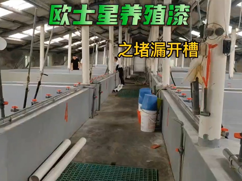 水產(chǎn)養(yǎng)殖基建是根本，廈門歐士星能給水產(chǎn)行業(yè)提供水產(chǎn)專用養(yǎng)殖漆，外墻涂料，隔熱漆，地坪漆等，同時(shí)福建區(qū)域提供施工及養(yǎng)殖池堵漏服務(wù)，其他省份可提供專業(yè)的培訓(xùn)和指導(dǎo)，給您的養(yǎng)殖場(chǎng)一個(gè)美美噠的環(huán)境！
