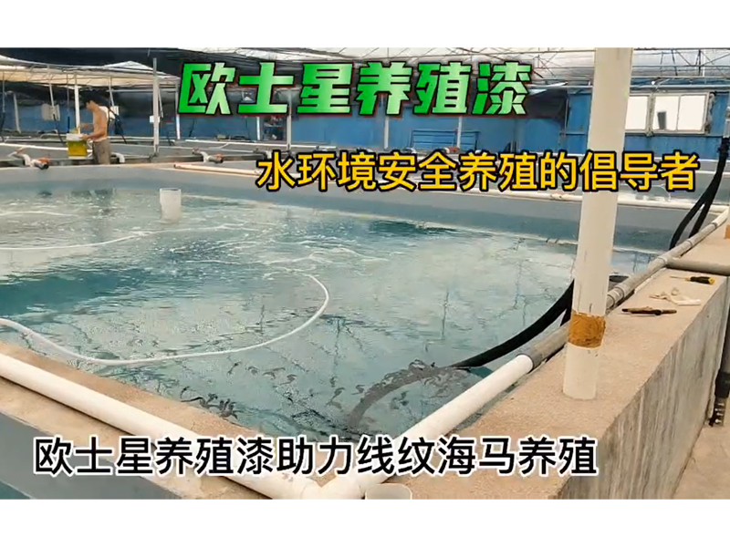 歐士星養(yǎng)殖漆助力線紋海馬養(yǎng)殖，9月19日刷完漆，10月8日回訪，放水養(yǎng)殖，搬馬順利。水質(zhì)好，海馬狀態(tài)佳，攝食順利，刷完漆，環(huán)境好，更好養(yǎng)