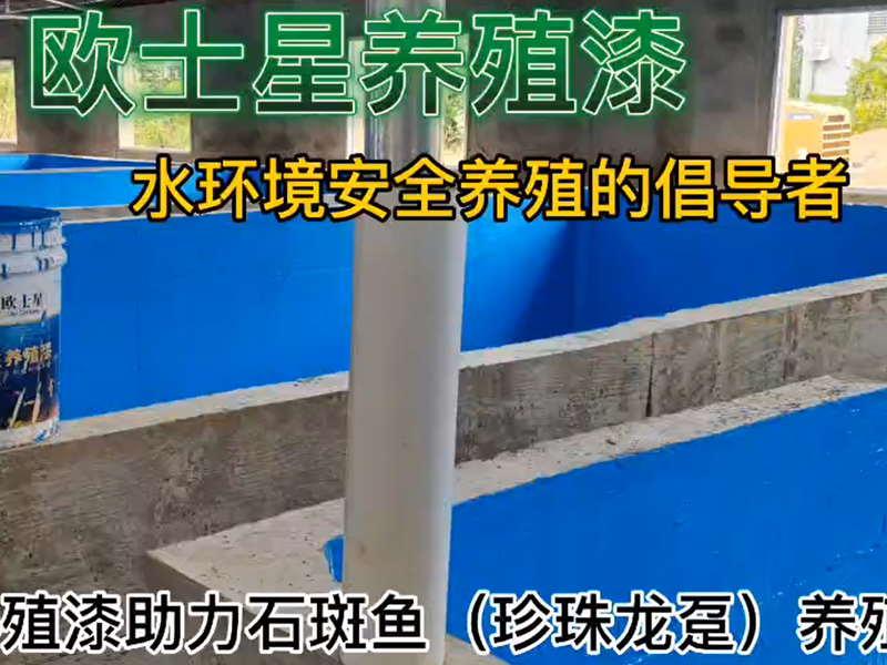 歐士星養(yǎng)殖漆助力石斑魚（珍珠龍躉）養(yǎng)殖，11月27日刷漆，12月1日放水養(yǎng)殖，魚苗活力佳，攝食順利，倡導(dǎo)水環(huán)境安全養(yǎng)殖，歐士星養(yǎng)殖漆在行動(dòng)！