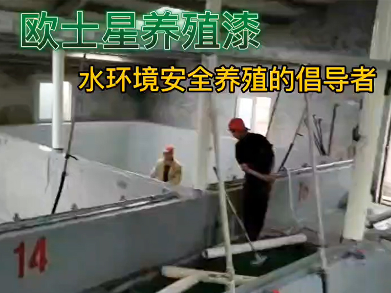 下雨天適合打磨和洗刷池子，刷漆前把池子沖洗干凈，晾干后再刷漆效果更好。