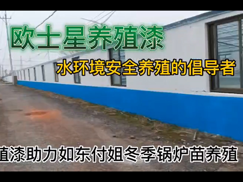 歐士星養(yǎng)殖漆助力如東付姐冬季鍋爐苗養(yǎng)殖，倡導(dǎo)水環(huán)境安全養(yǎng)殖，歐士星養(yǎng)殖漆在行動。